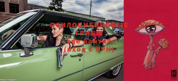тгк Бронницы