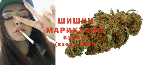 тгк Бронницы
